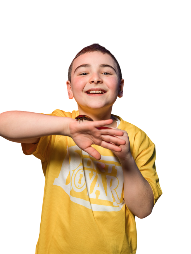 Незабываемый поход классом вместе с Форт Боярд